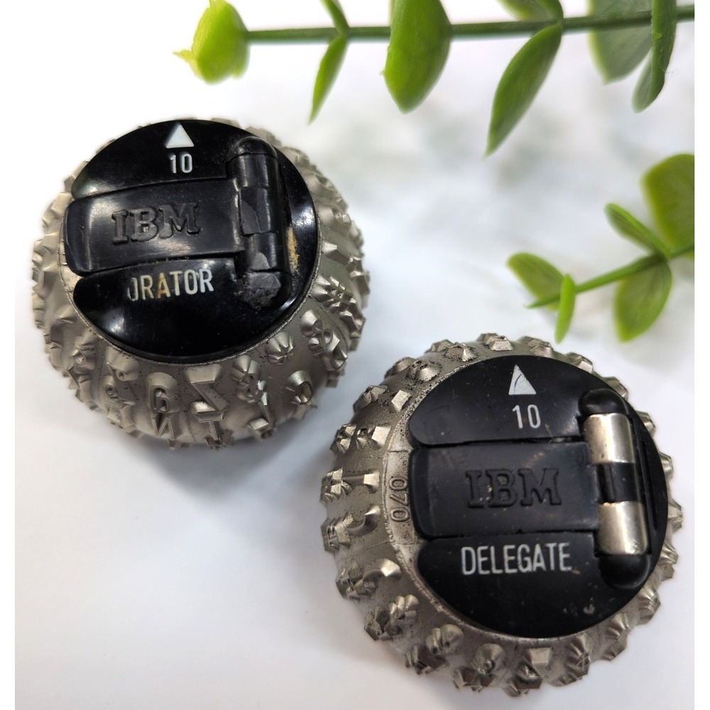 LOT 2 ORATOR & DELEGATE 10🚨Vtg IBM Golf Ball Typewriter Element Selectric Font
